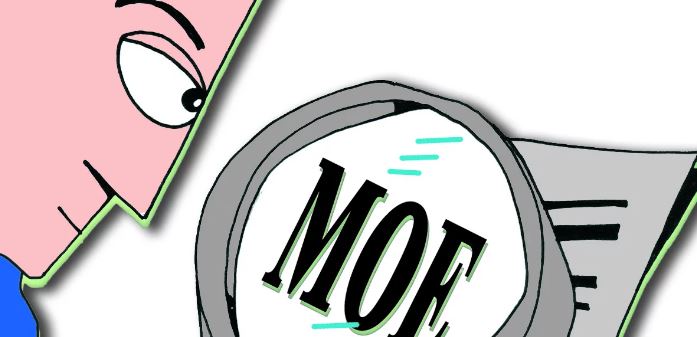 Informe MOE: Análisis de las irregularidades y delitos electorales en las Elecciones de 2007