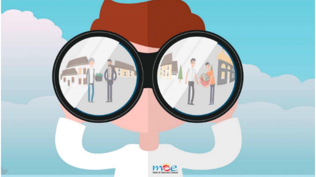Informe de irregularidades durante el proceso electoral 2019