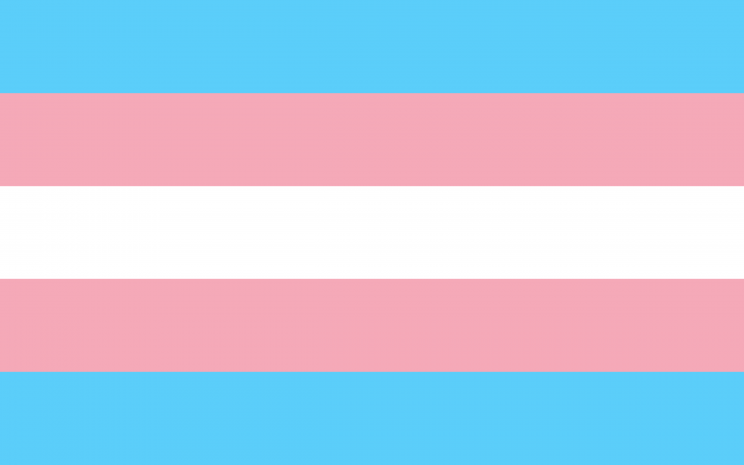 “Protocolo para promover medidas que garanticen el derecho al voto de las personas trans (transgénero, transexuales y travestis) en igualdad de condiciones y libre de discriminación”