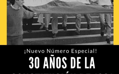 30 años de la constitución de 1991 – Revista Derecho del Estado