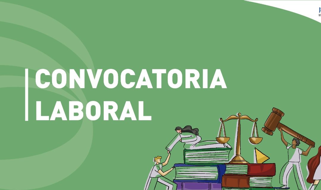 Términos de referencia para contratar Profesional especializado/a en proyectos