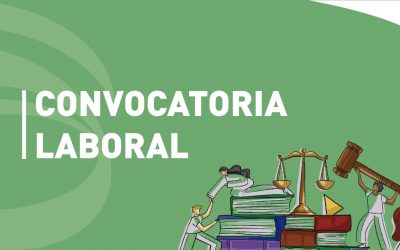 Términos de referencia para contratar Profesional especializado/a en proyectos