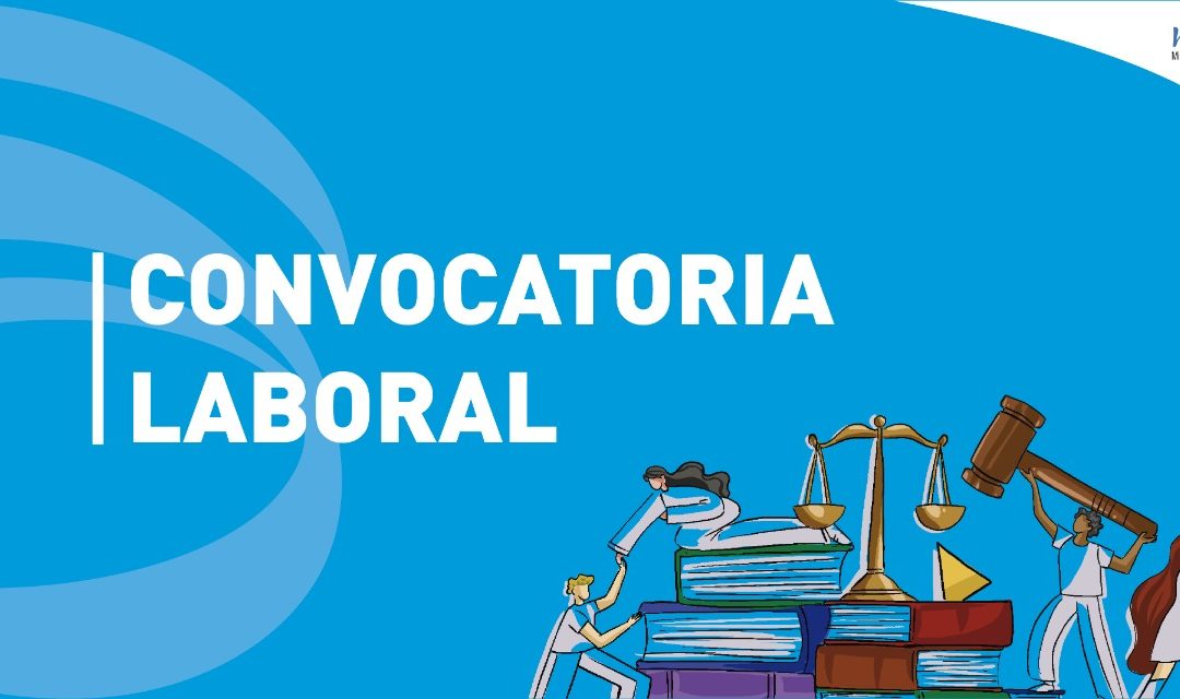 Términos de referencia para contratar profesional especializada en inclusión y diversidad