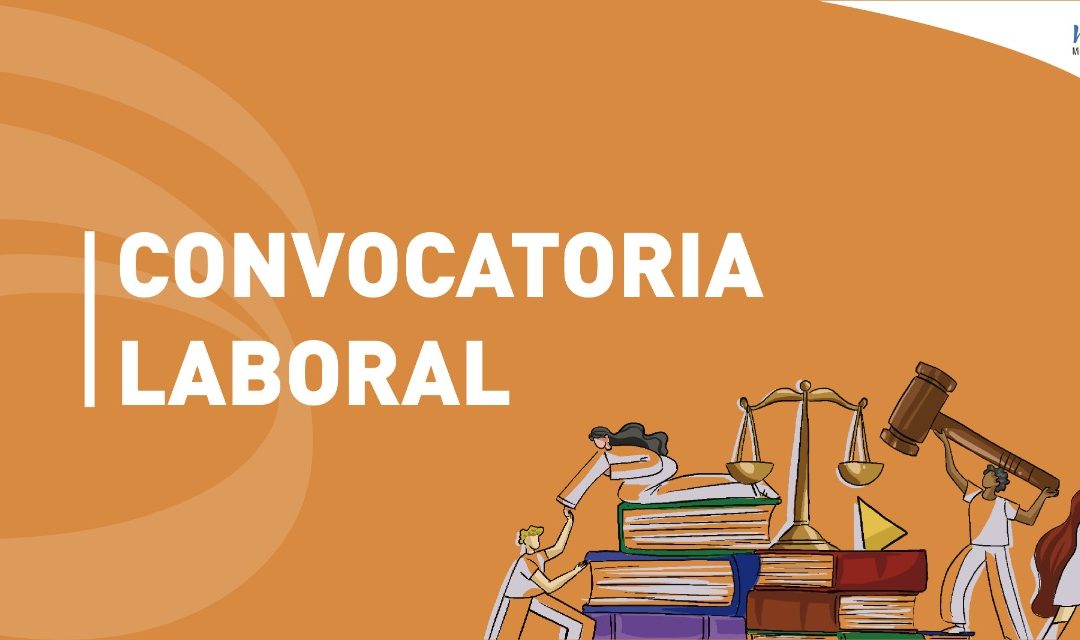 Términos de referencia para la contratación de Profesional Especializado en Integridad Electoral