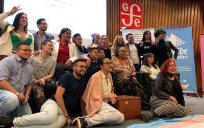 Medidas para garantizar el derecho al voto de las personas Trans en los países de América Latina y el Caribe