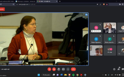 Intervención de la MOE en la Audiencia pública del Proyecto de Acto Legislativo No. 243 de 2022 Cámara – No. 018 de 2022 Senado