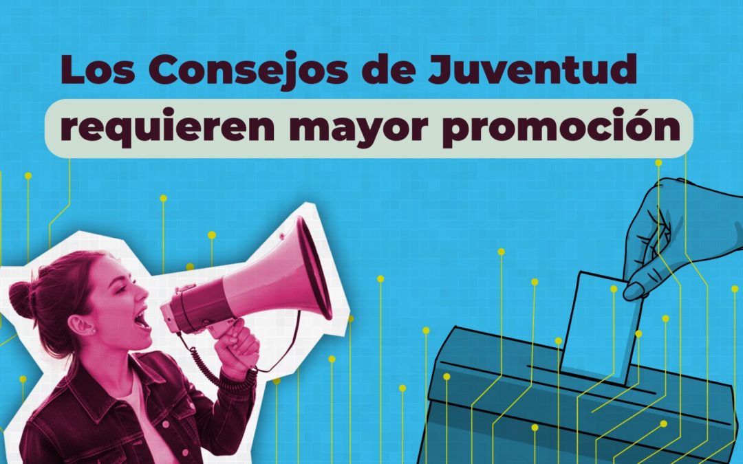 Las elecciones a Consejos Municipales y Locales de la Juventud son un espacio de democracia participativa que requiere mayor promoción: MOE 