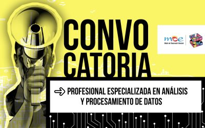 Persona profesional especializada en Inclusión y Diversidad – análisis y procesamiento de datos